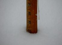 DSCN9608.jpg