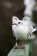 DSC_4830.jpg