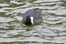 DSC_4898.jpg
