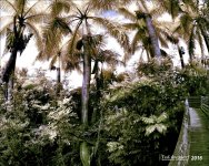 1-13-16 Green Cay IR    8.jpg