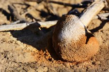 1-14-16-full_D7K0568.jpg
