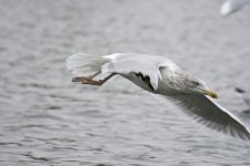 DSC_5013.jpg