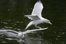 DSC_5014.jpg