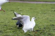 DSC_4987.jpg
