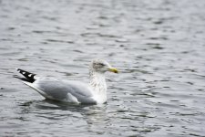 DSC_5011.jpg