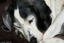 DSC_3794.jpg