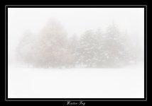 W_DSC_1074.jpg