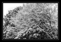 W_DSC_1083.jpg