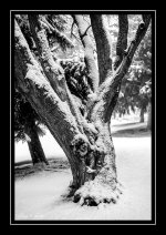 W_DSC_1084.jpg
