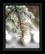 W_DSC_1094.jpg