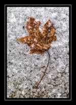 W_DSC_1098.jpg