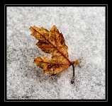 W_DSC_1100.jpg