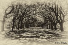 D71_2445-Edit.jpg