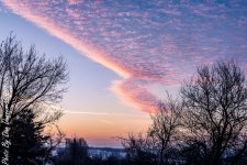 Cold Sinrise-1910-Edit-Edit-Edit.JPG