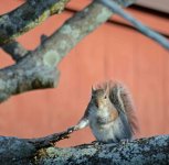 DSC_0094 2.jpg