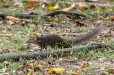 DSC_3963.jpg