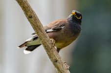 DSC_3925.jpg