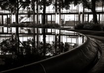 25 January 2016 - City Hall Fountain Reflection at Night.jpg