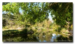 pond-photographer.jpg
