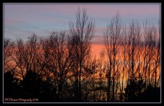Sunset 1-26-2016.jpg
