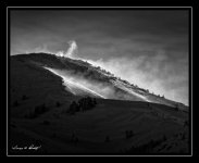 W_DSC_1139.jpg