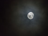 DSC_5107.jpg