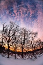 20160126b.jpg