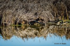 D71_8429-Edit.jpg