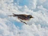 DSCN9708.jpg