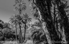 DSC_8488-2.jpg