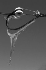 Icicle 1000 B&W.jpg