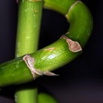 DSC_1905.jpg