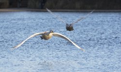 DSC_5132.jpg