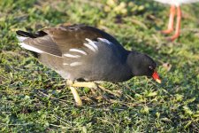 DSC_5143.jpg