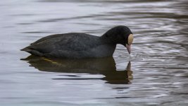 DSC_8677.jpg