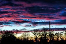 DSC_1952.jpg