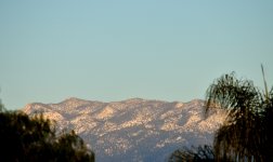 ROY_6567_01.JPG