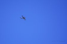 1-28-2016-cr__D7K0973.jpg