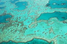 109gbr copy-1.jpg