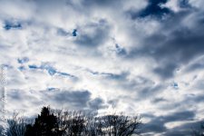 Winter Skies-1998.JPG