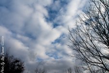 Winter Skies-2008.JPG