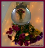 Colorful Bouquet 1-29-2016.jpg