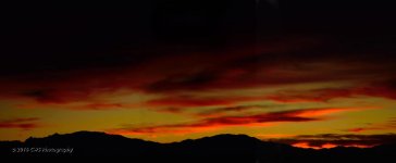 1-29-2016-pano-cr_DSC_3140.jpg