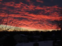 DSCN9795.jpg