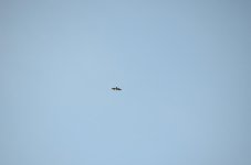 TGA_3251.jpg