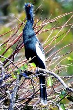 1-30-16 Wetlands   8.jpg