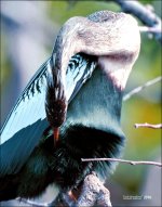 1-30-16 Wetlands   9.jpg