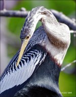 1-30-16 Wetlands   10.jpg