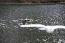 DSC_5211.jpg