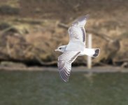 DSC_5284.jpg
